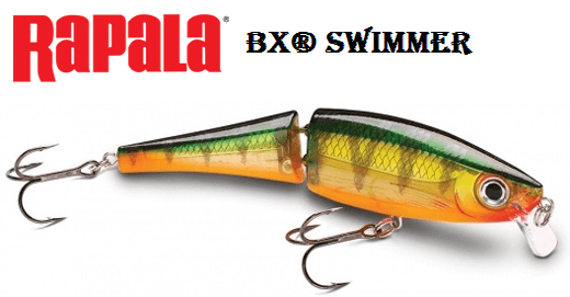 Rapala Bx Swimmer BXS12