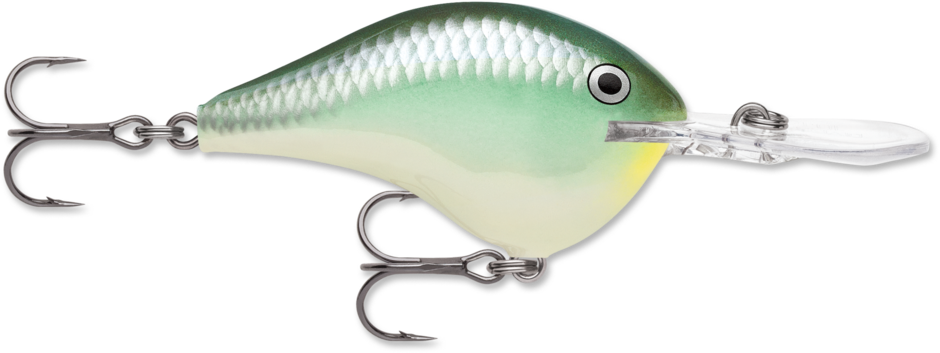 Rapala DT Series Crankbait