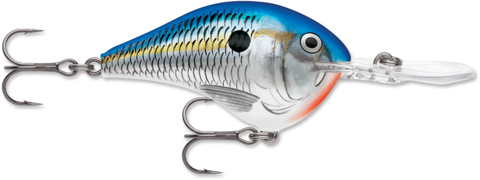 Rapala DT Series Crankbait