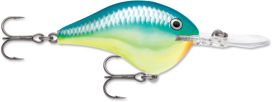 Rapala DT Series Crankbait