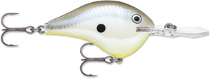 Disco Shad (DSSD)