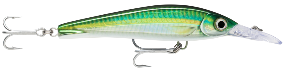 Rapala Lure  X-Rap Magnum Xtreme