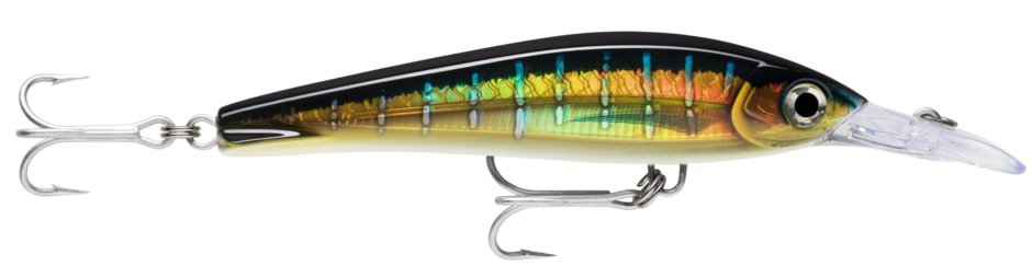 Rapala Lure  X-Rap Magnum Xtreme