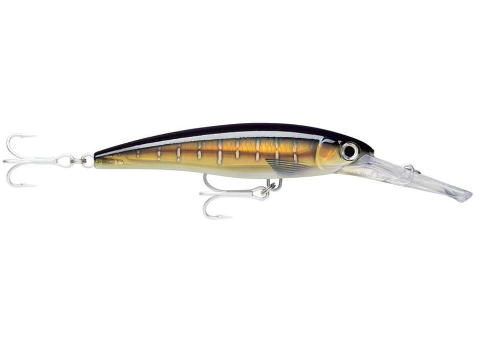 RAPALA X-RAP® MAGNUM