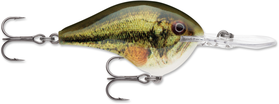 Rapala DT Series Crankbait