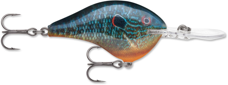 Rapala DT Series Crankbait