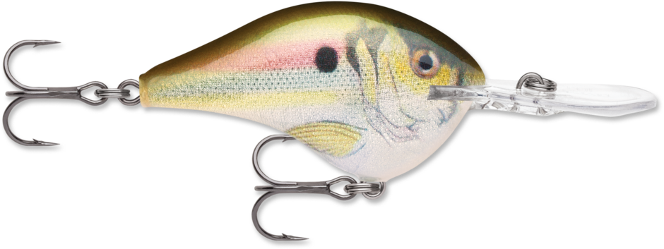 Rapala DT Series Crankbait