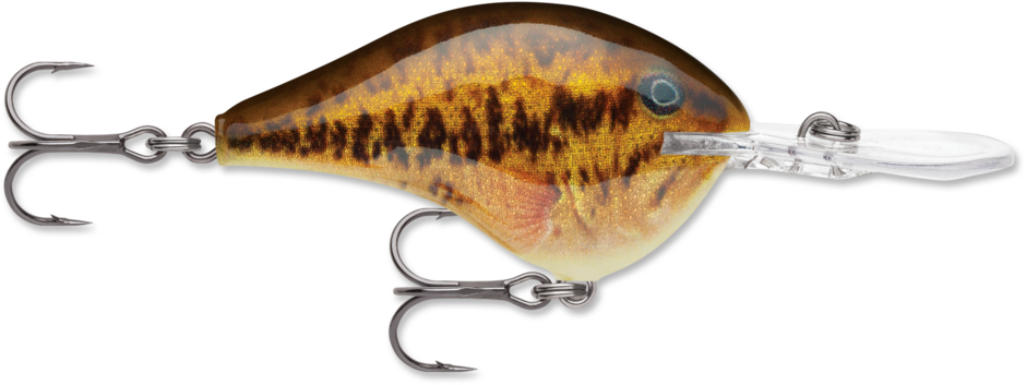 Rapala DT Series Crankbait