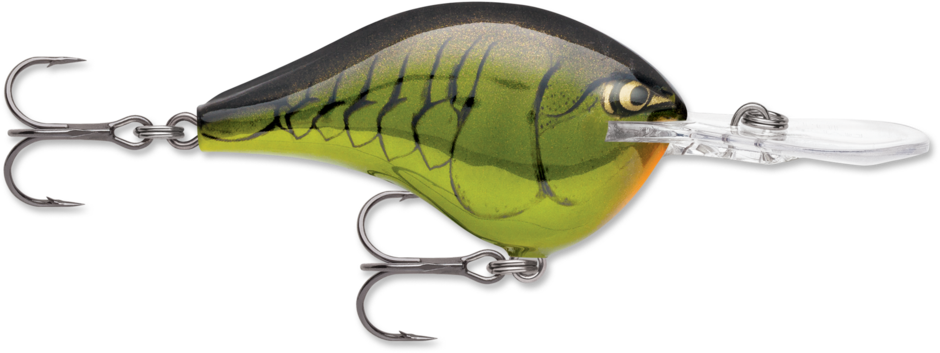 Rapala DT Series Crankbait