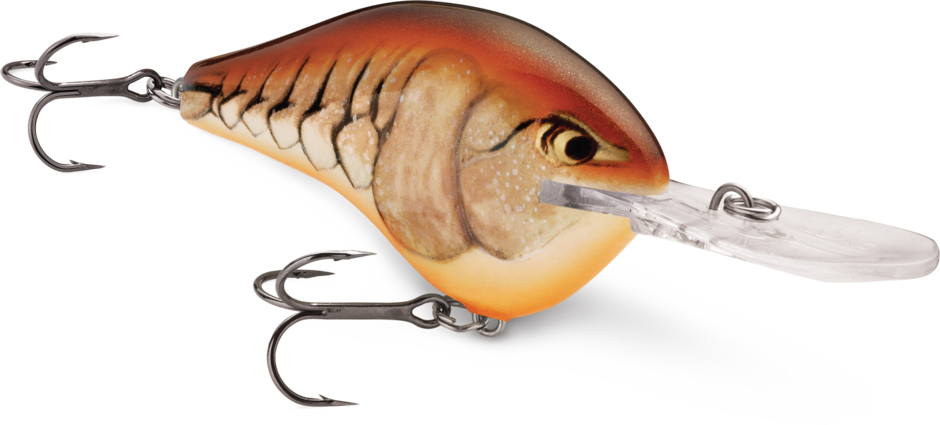Rapala DT Series Crankbait