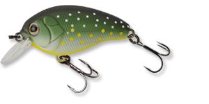 Ecogear Lure CK 40F07