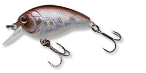 Ecogear Lure CK 40F07