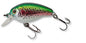 Ecogear Lure CK 40F07