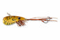 Ecogear Lure ZX35 414